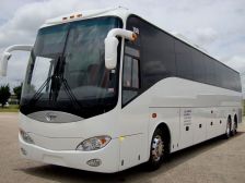 Coach Bus 55 Pax